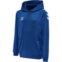 Hummel Core XK Poly Kapuzenpullover blau Kinder