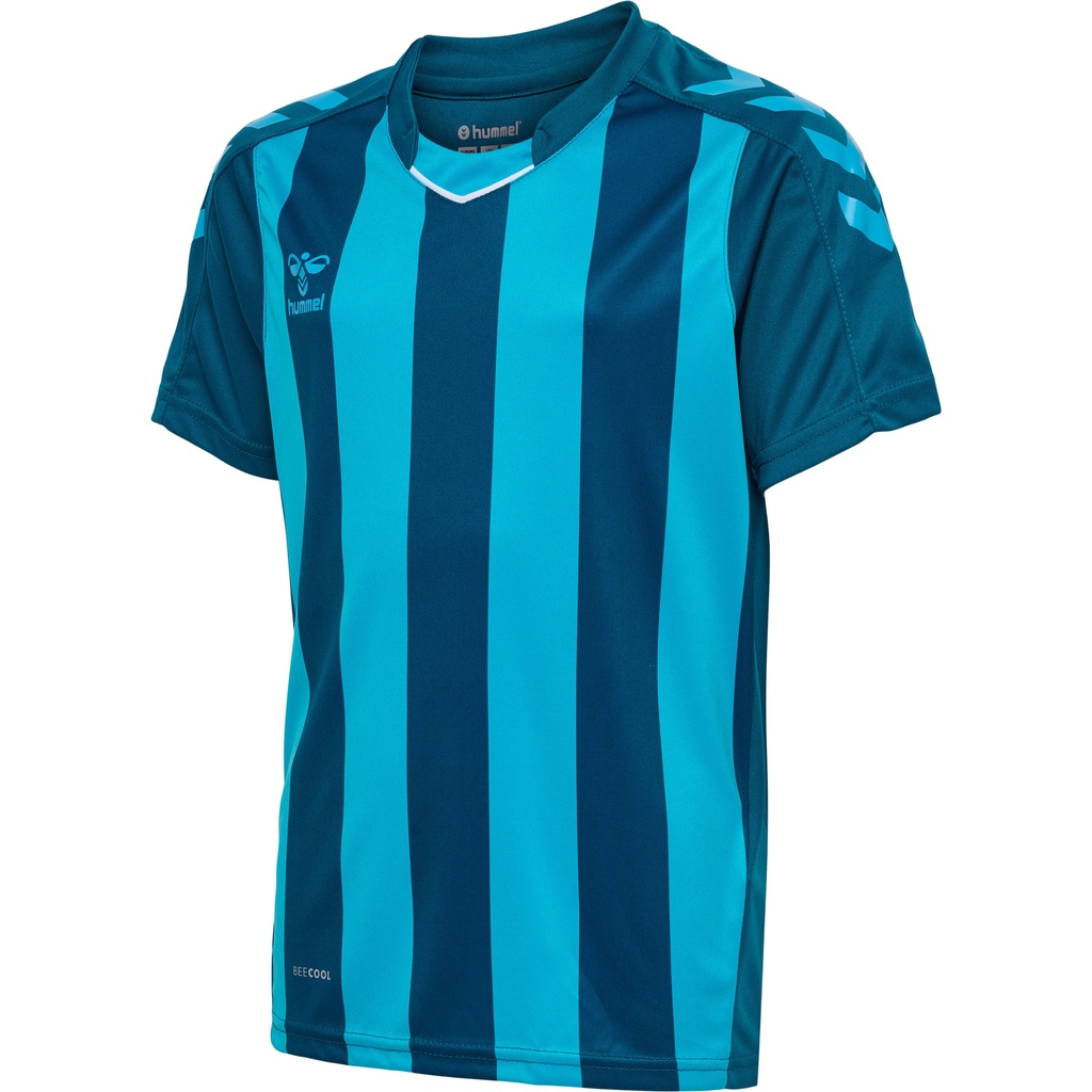 Hummel Core XK Striped Trikot blau Kinder