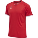 Hummel Core Volleyball Trikot rot 