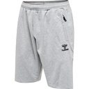 Hummel Move Grid Cotton Shorts grau