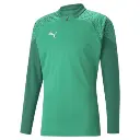 Puma teamCUP Training 1/4 Zip Sweatshirt grün