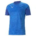 Puma teamCUP Trikot blau