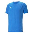 Puma teamCUP Trikot blau