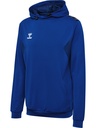 Hummel Authentic Kapuzenpullover blau    