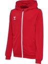 Hummel Authentic PL Kapuzenjacke rot Kinder 