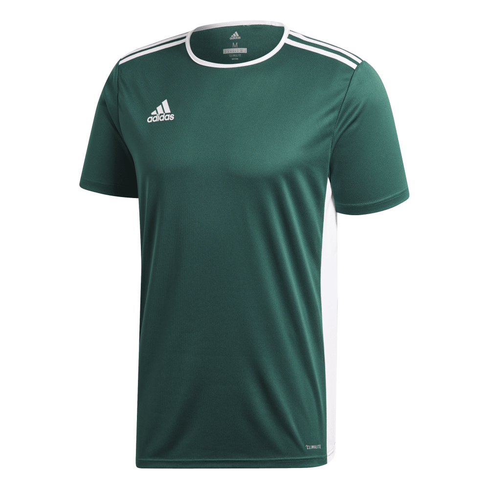 adidas Entrada 18 Trikot grün