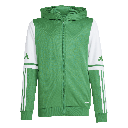 adidas Squadra 25 Kapuzenjacke grün Kinder