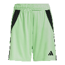 adidas Tiro 24 Shorts grün Kinder 