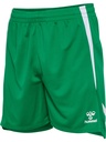 Hummel Lead 2.0 Shorts grün