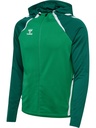 Hummel Lead 2.0 Kapuzenjacke grün