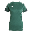 adidas Tiro 25 Competition Trainingstrikot grün Damen