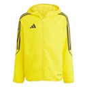 adidas Tiro 23 League Windjacke gelb Kinder