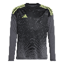 adidas Tiro 25 Competition Torwarttrikot Langarm grau Kinder