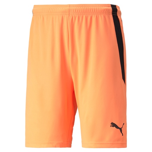 Puma teamLIGA Shorts orange