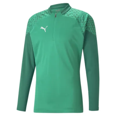 Puma teamCUP Training 1/4 Zip Sweatshirt grün