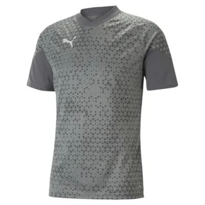 Puma teamCUP Trikot grau