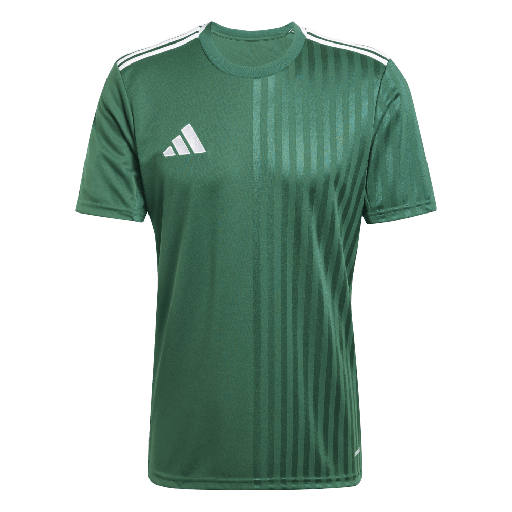 adidas Campeon 25 Trikot grün  