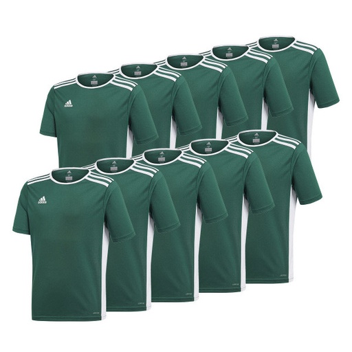 adidas 10er Trikotsatz Entrada 18 grün Kinder