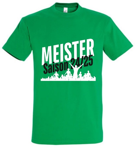 Meistershirt grün