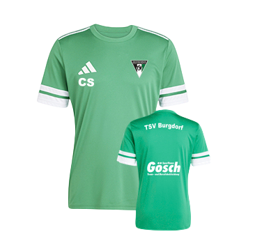 TSV Burgdorf Trainingstrikot grün  
