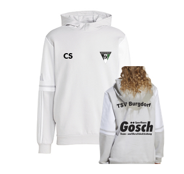 TSV Burgdorf Hoodie grau 