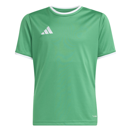 adidas Entrada 26 Trikot grün Kinder