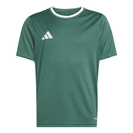 adidas Entrada 26 Trikot grün Kinder