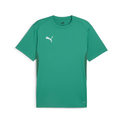 Puma teamGOAL Trikot grün