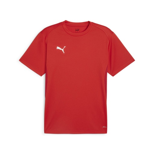 Puma teamGOAL Trikot rot Kinder