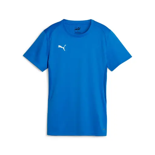 Puma teamGOAL Trikot blau Damen