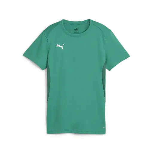 Puma teamGOAL Trikot grün Damen