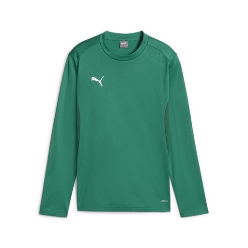 Puma teamGOAL Training Sweatshirt grün Kinder