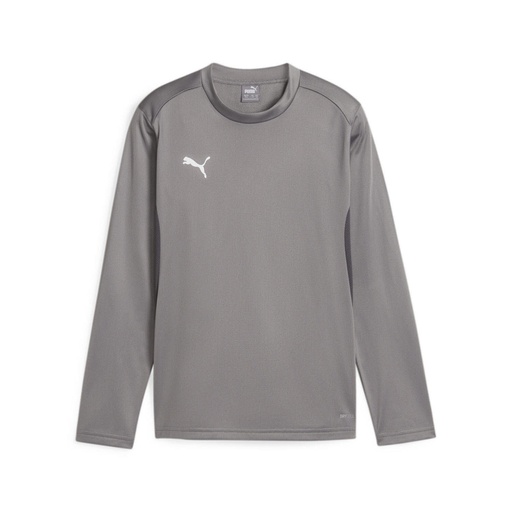 Puma teamGOAL Training Sweatshirt grau Kinder