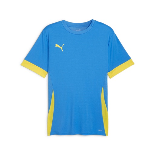 Puma teamGOAL Matchday Trikot blau