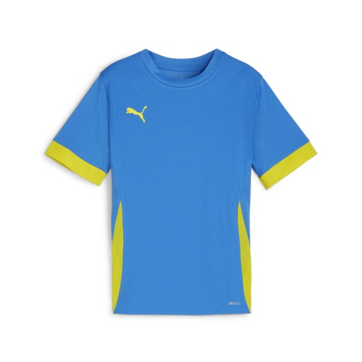 Puma teamGOAL Matchday Trikot blau Kinder