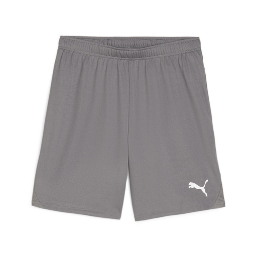 Puma teamGOAL Shorts grau