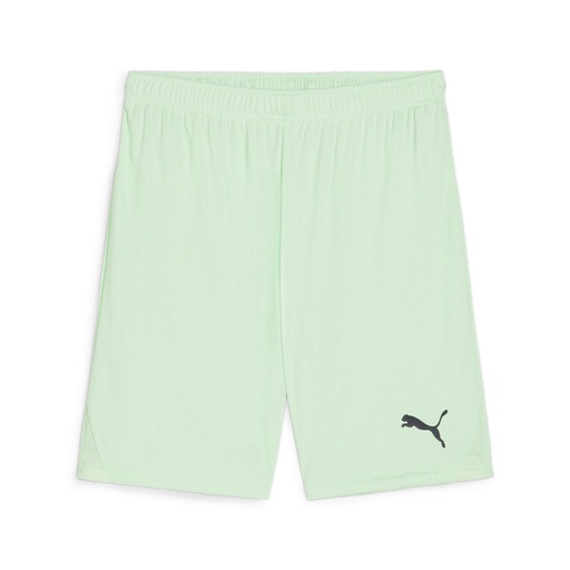 Puma teamGOAL Shorts hellgrün