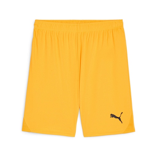 Puma teamGOAL Shorts gelb