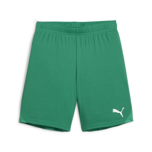 Puma teamGOAL Shorts grün Kinder