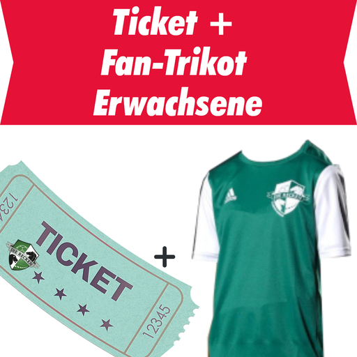 Ticket & Grünsturm-Trikot Erwachsene - Recken vs HSV Hamburg