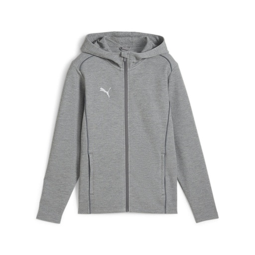 Puma teamFINAL Kapuzenjacke grau