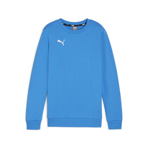 Puma teamGOAL Casuals Sweatshirt blau Kinder