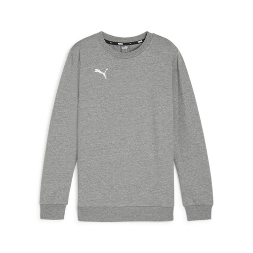 Puma teamGOAL Casuals Sweatshirt grau Kinder