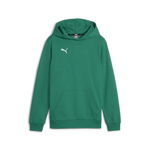 Puma teamGOAL Casuals Hoodie grün Kinder