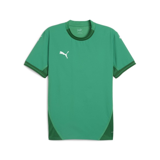 Puma teamFINAL Trikot grün