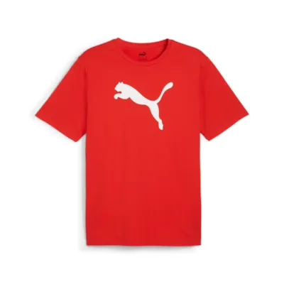 Puma teamRISE Logo T-Shirt rot