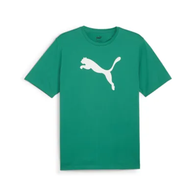 Puma teamRISE Logo T-Shirt grün