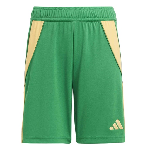 adidas Tiro 24 Shorts grün Kinder