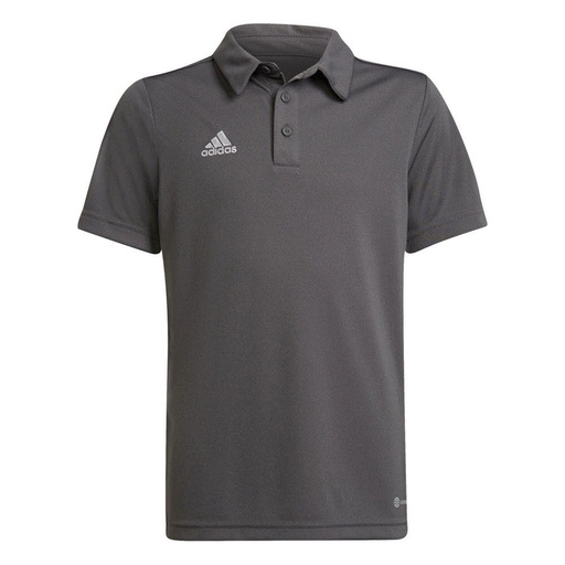 adidas Entrada 22 Poloshirt grau Kinder