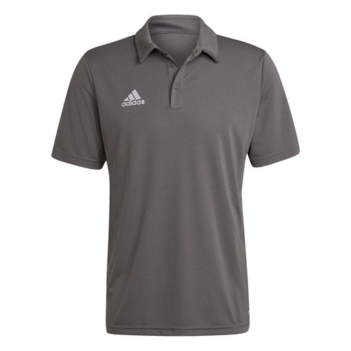 adidas Entrada 22 Poloshirt grau  